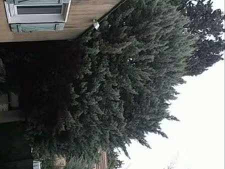 cherche à louer 300 euro par mois bordeaux alentour entretien terrain deux personnes 2 50 