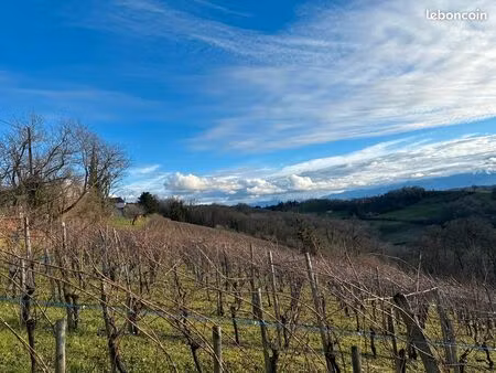 vignes à louer à cuqueron – 2 ha  jeunes et en production