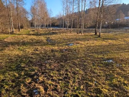 location terrain clôturé pour chevaux