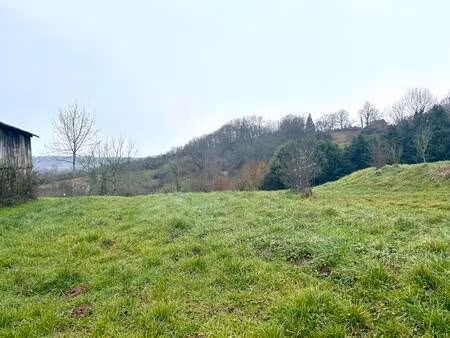 vente terrain 2362 m² meyssac (19500)