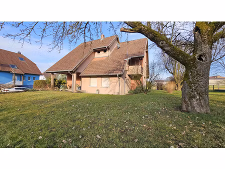 achat maison 6 pièces 162m² dannemarie 68210