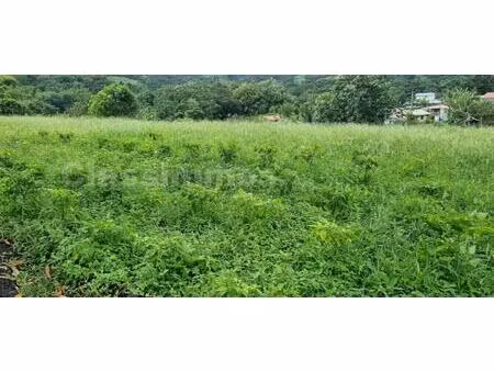 terrain constructible de 5 380 m² au lorrain