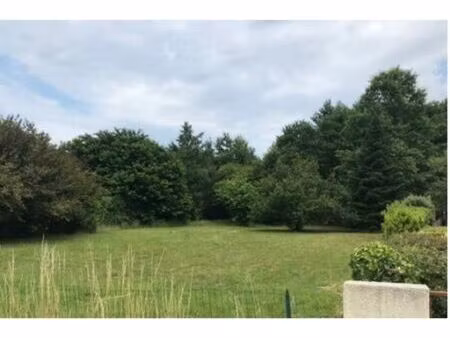 vente terrain 370 m² belin-béliet (33830)