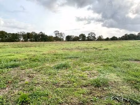 vente terrain 325 m² saint-georges-du-bois (17700)