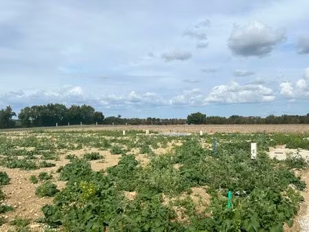 vente terrain 378 m² saint-jean-de-liversay (17170)