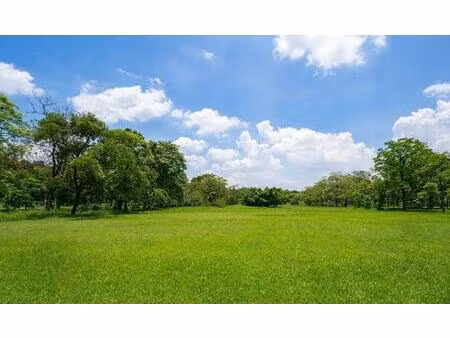 terrain à bâtir à haux (33550)