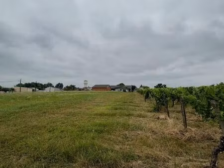 terrain à bâtir à laroque (33410)