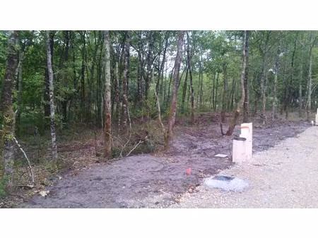 terrain à bâtir à salles (33770)