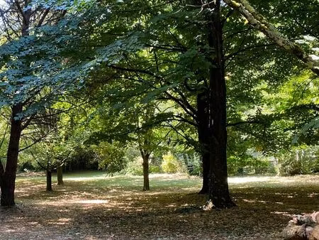 vente maison 7 pièces 175 m² bagnols-sur-cèze (30200)