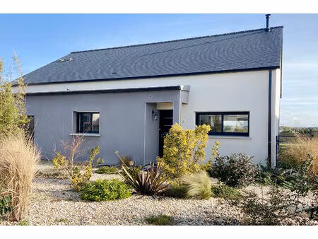 maison contemporaine à vendre à châteaugiron - 3 chambres  garage et jardin