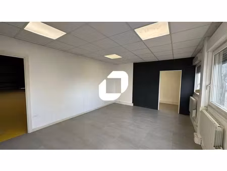 location local d'activités geispolsheim 67118
