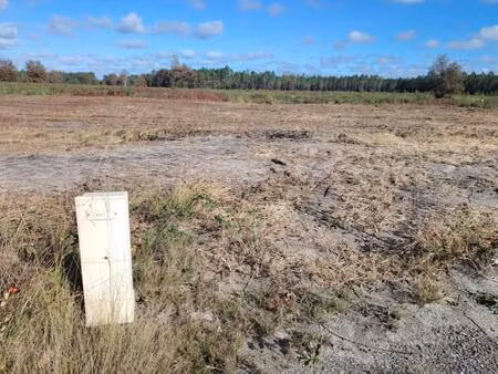 vente terrain à construire 590 m² belin-béliet (33830)