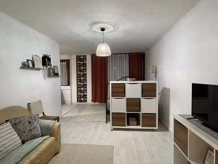 location appartement 1 pièce 41 m² à saint-étienne (42000)