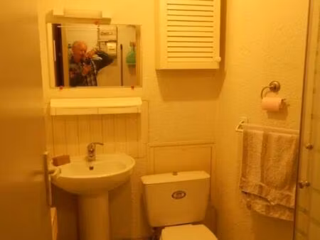 location appartement 1 pièce 17 m² à tours (37000)