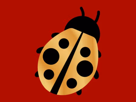 vente appartement 3 pièces 58m2 perpignan 66000 - 75000 € - surface privée