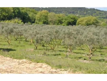 vente maison neuf 4 pièces 80m2 rognes - 389800 € - surface privée