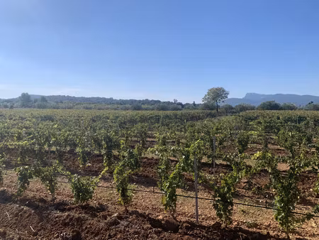 vente terrain 113500m2 vidauban 83550 - 699000 € - surface privée