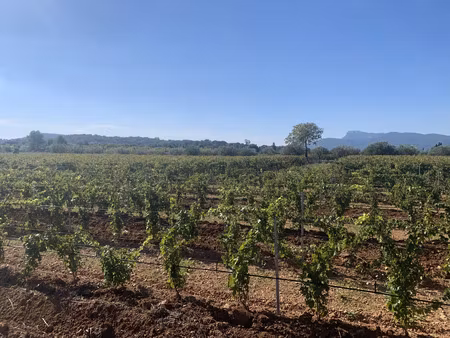 vente terrain vidauban 83550 - - surface privée
