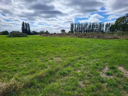 vente terrain au vivier-sur-mer (35960) : à vendre / le vivier-sur-mer