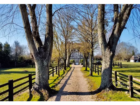 vente maison 6 pièces 110 m² à blangy-le-château (14130)  1 100 000 €