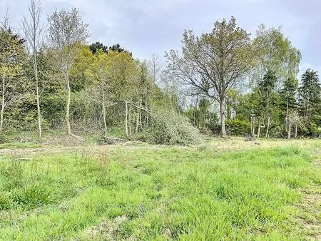 terrain de 1000 m2 constructible à st julien.