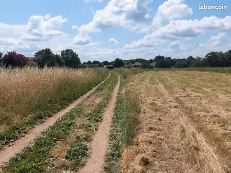 terrain 721 m² berat