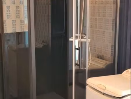 appartement 66m2 rénové centre ville