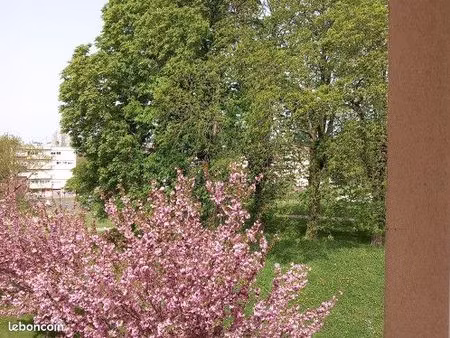 appartement 2 pièces 53 m²