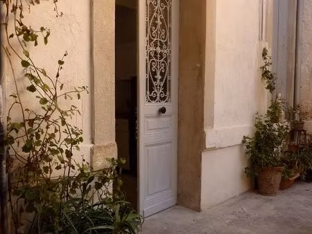 t3 montpellier centre historique