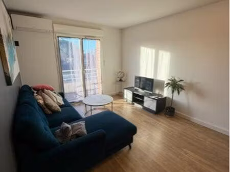 appartment t3 meuble mondonville