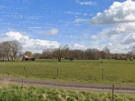 terrain à vendre à assenede € 1.272.000 (ljue0) - vastgoedfluisteraar | zimmo