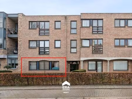 appartement à vendre à maaseik € 159.000 (ljuy3) - era impact (bree) | zimmo