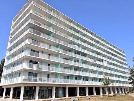 appartement à louer à borgerhout € 870 (ljvg3) - heylen vastgoed - antwerpen | zimmo