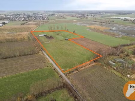 terrain à vendre à zaffelare € 500.000 (ljuye) - horse immo | zimmo