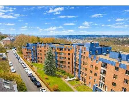 joli appartement 1-2 chambres sur stembert