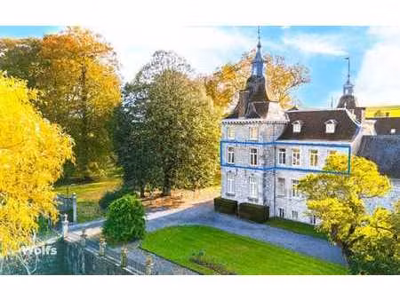 spacieux appartement dans le magnifique château d'avionpuits