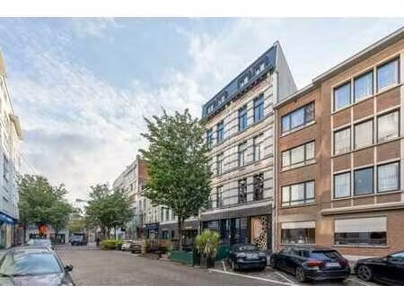 lumineux appartement cœur ville