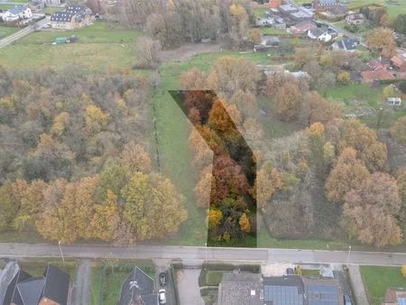 terrain à vendre à diepenbeek € 55.000 (ljvc0) - immo top invest | zimmo