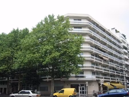 location appartement 1 pièce 27 m² à lyon 6 (69006)