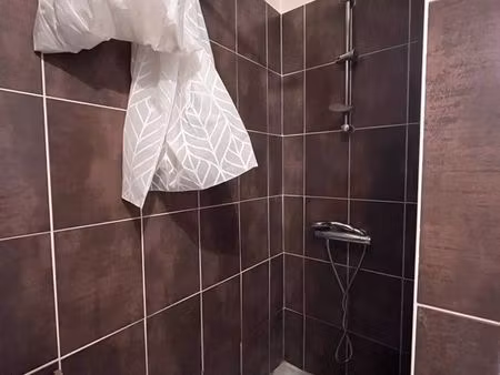 centre bordeaux/jardin public.appart.31 m2 lumineux