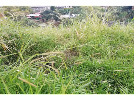 terrain 502 m2 - trois bassins