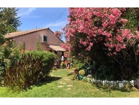 vente maison 4 pièces 83 m² vidauban (83550)
