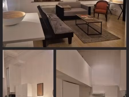 appartement meublé lille centre