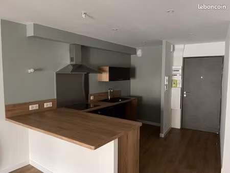 grand t2 duplex plein centre savenay