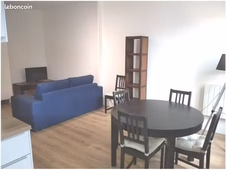 t2 meublé lumineux métro monplaisir lumière lyon 3