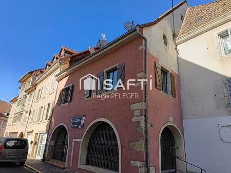 vente immeuble 180 m² delle (90100)