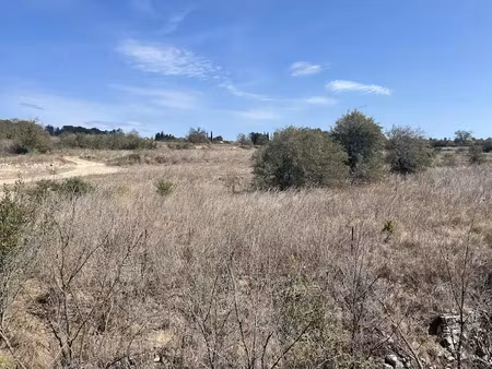 vente terrain à lespignan (34710)  20 000 €