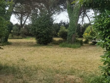 vente terrain 1030 m² à saint-maixant (33490)  72 000 €