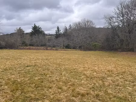 vente terrain 1700 m² à trélissac (24750)  75 999 €