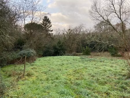 vente terrain 886 m² à lesparre-médoc (33340)  59 000 €